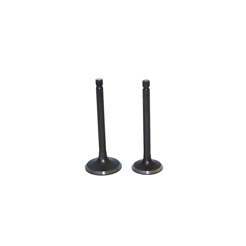 VALVULAS (JGO) P/ITALIKA AT-110 "KAIZEN