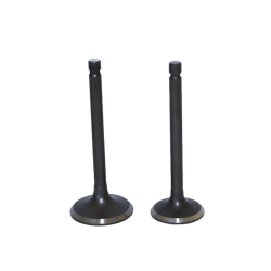 VALVULAS (JGO) P/ITALIKA AT-110 "KAIZEN