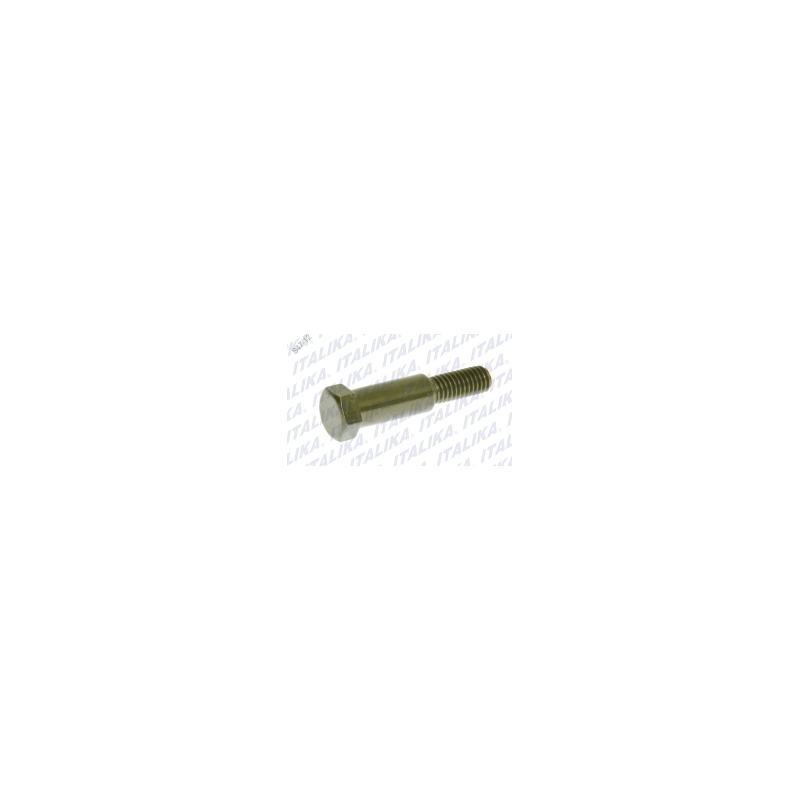 TORNILLO FIJADOR PALANCA DE FRENO DEL GS150, GTS175, XS150, DS150, GTS175 LED, DS150 NEGRO, GS150 LED, XS150 NEGRO