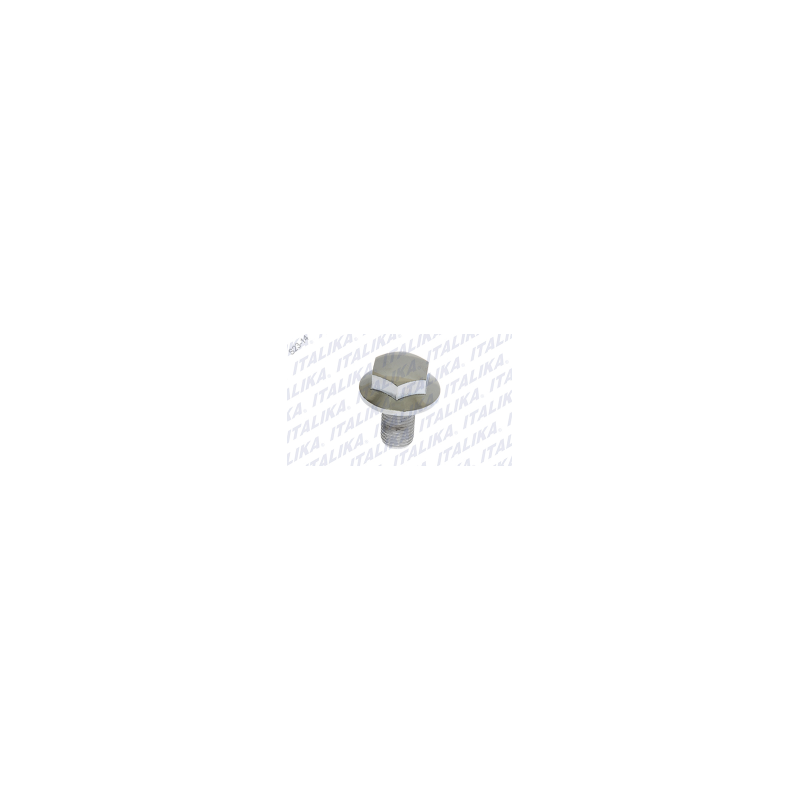 TORNILLO DECORATIVO DE DIRECCION RC200, TC200