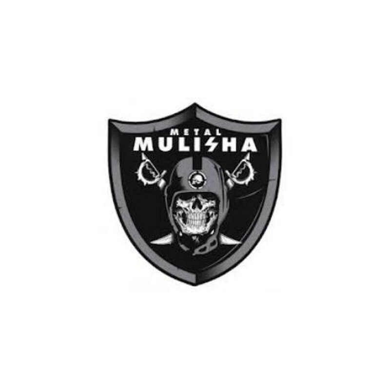 CALCOMANIA REFLEJANTE RAIDERS