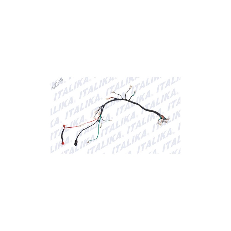 ARNÉS PRINCIPAL FT150TS