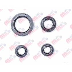SET RETENES MOTOR IT FT180/RT180/FT200/TC200