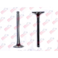 VALVULAS DE ADMISION Y ESCAPE AT110