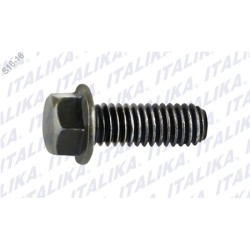 TORNILLO M6X16 DT110 DELIVERY, FT115