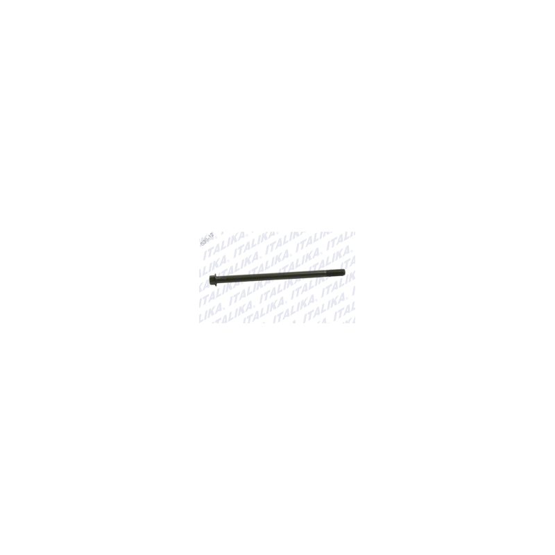 TORNILLO EJE CS125, XS125, GTS175, WS150, XS150, GS150, WS175, DS150, GTS175 LED, DS150 NEGRO, GS150 LED, XS150 NEGRO, CS125 LED