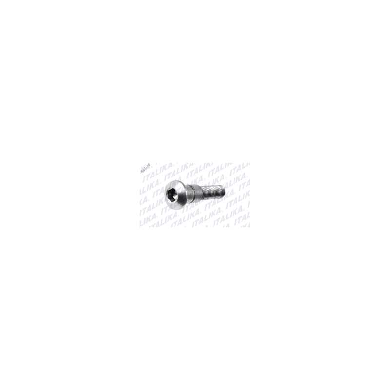 TORNILLO PEDAL DE FRENO 250Z