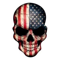 CALCOMANIA GRANDE CALAVERA ESTADOS UNIDOS