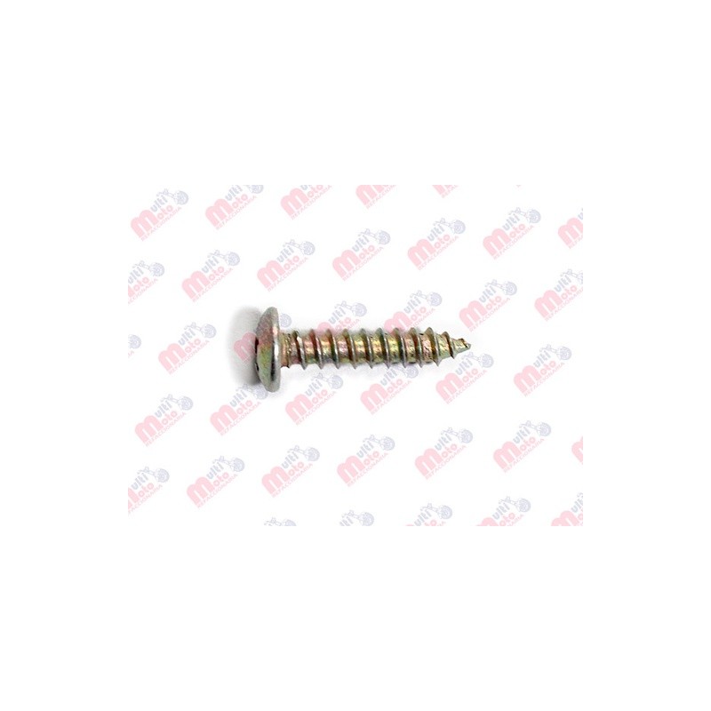 TORNILLO PIJA CABEZA FIJADORA RANURADA TIPO AB