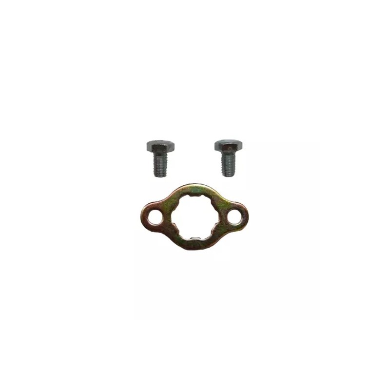PLACA DE PIÑON 125-Z 16-17/150-SZ 16-17/150-Z 14-16/170-Z 16-17/ROCKETMAN 250 18-22