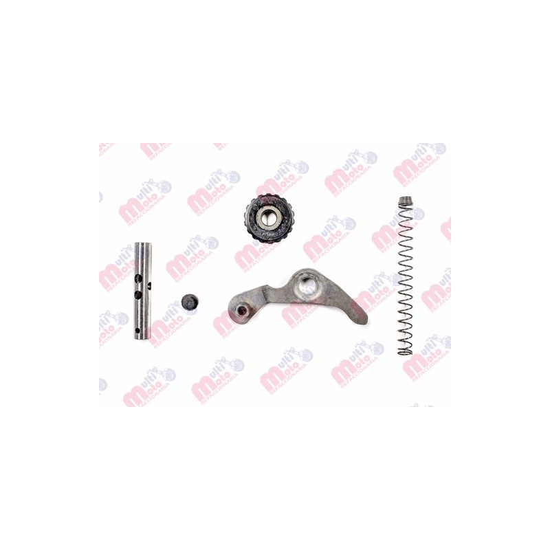 JUEGO DE TENSOR CADENA 110CC