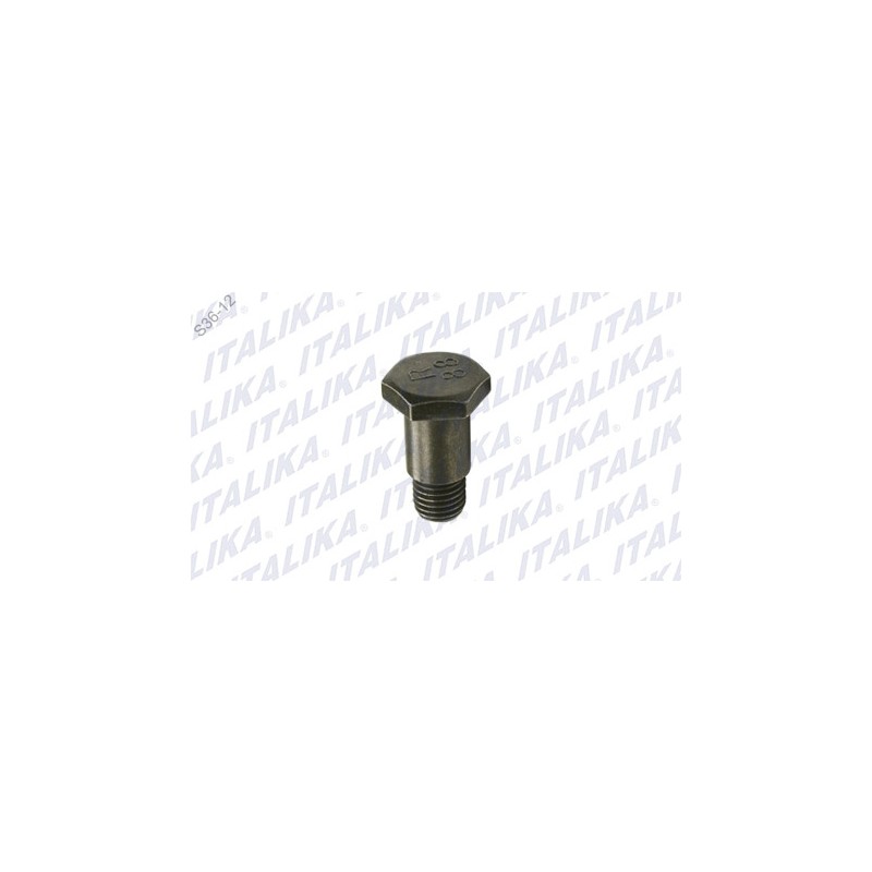 TORNILLO EJE PARADOR LATERAL CS125, GS150, PS90, GTS175, XS125, XS150, WS175, DS150, WS150, GTS175 LED, DS150 NEGRO, GS150 LED, 