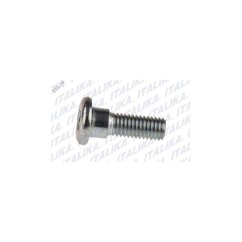 TORNILLO DISCO FRENO M8X25 150SZ 2017