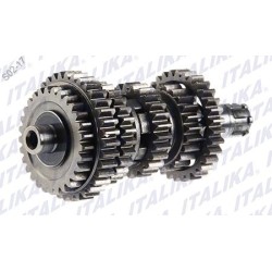 CONJUNTO EJE SECUNDARIO TRANSMISION DT150 SPORT, FIERA150