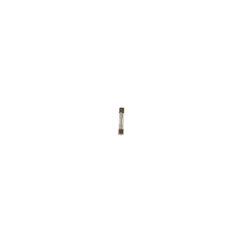 FUSIBLE 30 AMPERS VIDRIO