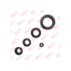 KIT RETENES DE MOTOR FT125/150/200 MEK