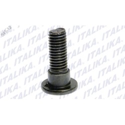 TORNILLO DISCO DE FRENO M8 X25 RC150 GT, 250Z