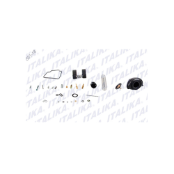 KIT CARBURADOR DS 150 2018..