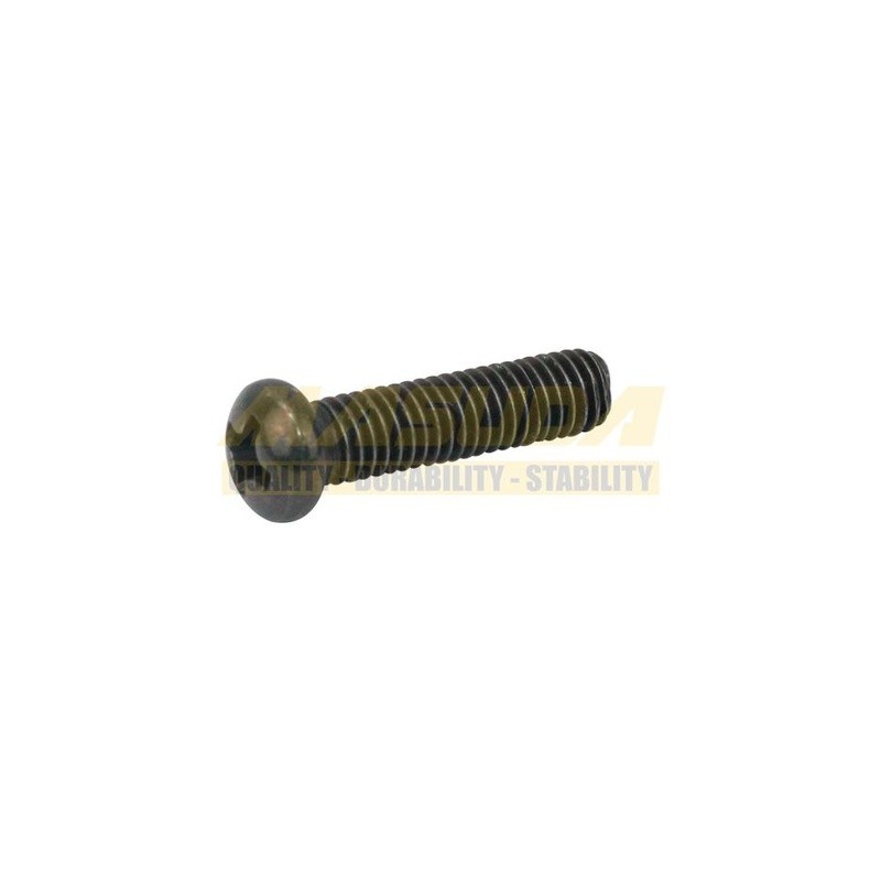 TORNILLO CON CABEZA REDONDA PHILLIPS VERDE M5*20