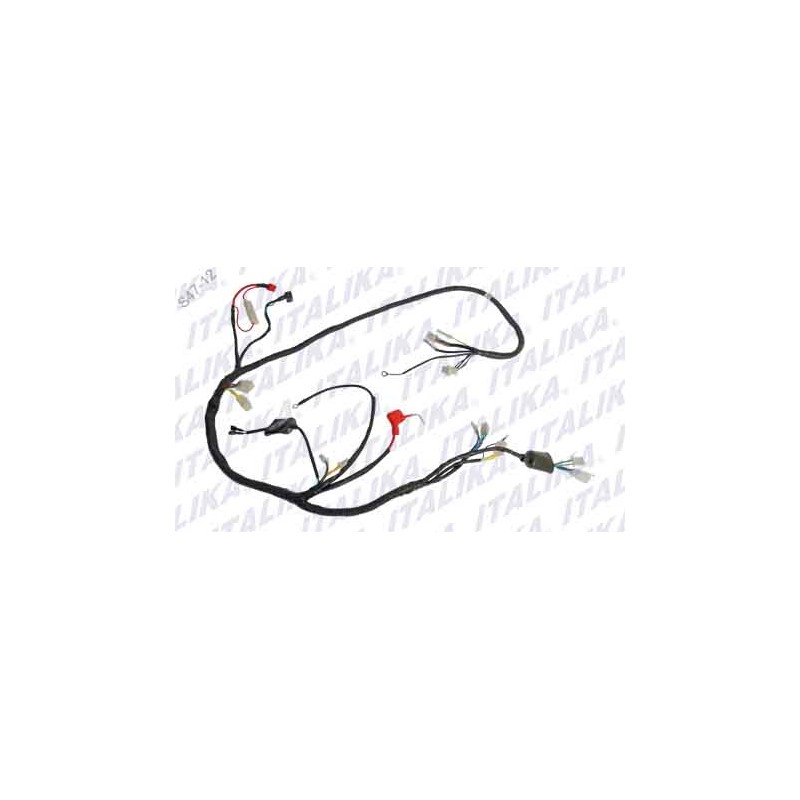 ARNES PRINCIPAL FT125 CLASICA, FT125 NEW SPORT, FT125 CHAKARERA