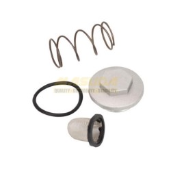KIT TAPON DRENADO CON RING PARA FT125/FT150