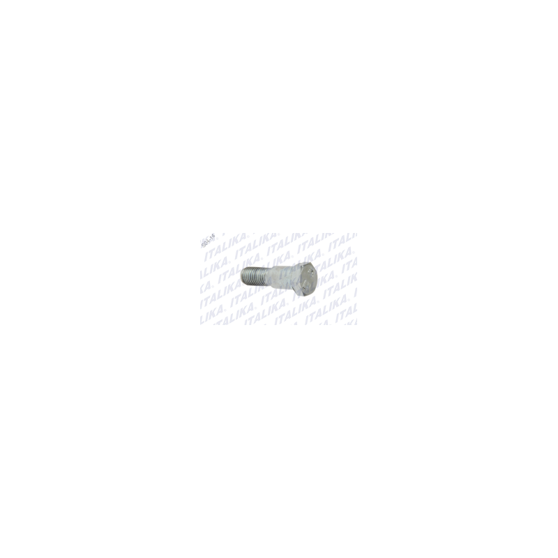 TORNILLO PARADOR LATERAL 250Z