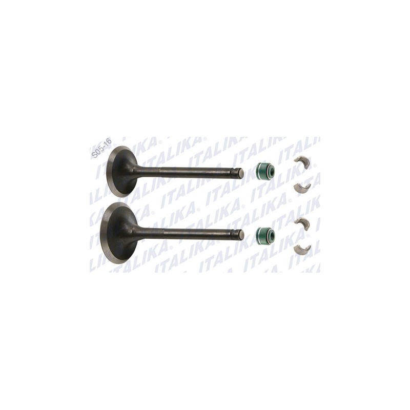 KIT VALVULAS MOTOR PS 90 2010