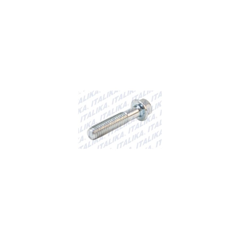 TORNILLO 6M*28 Compatible con: 125Z:2016 - 2017 - 2018 125Z:2019 - 2020 - 2021 - 2022 - 2023 150Z:	2019 - 2020 - 2021 - 2022 - 2