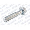 TORNILLO 6M*28 Compatible con: 125Z:2016 - 2017 - 2018 125Z:2019 - 2020 - 2021 - 2022 - 2023 150Z:	2019 - 2020 - 2021 - 2022 - 2