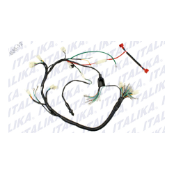 ARNES PRINCIPAL FT125, FT125 NEW SPORT, FT125 CLASICA, FT125 CHAKARERA