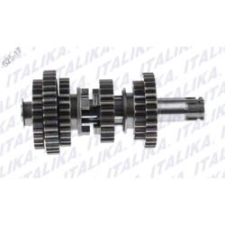 CONJUNTO EJE SECUNDARIO TRANSMISION DM125