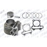 KIT DE CILINDRO MOTOR GTS 175