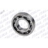 BALERO RADIAL EX200, FT150, RC150, RC150 GT, RT200, DM150, 250Z, RT200 SPITZER