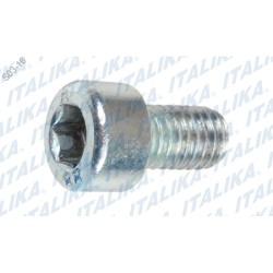 TORNILLO M6X10 VX250