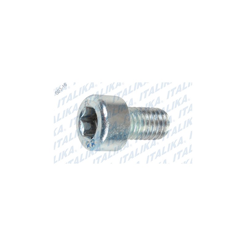 TORNILLO M6X10 VX250