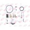 KIT CARBURADOR FT 110  2016
