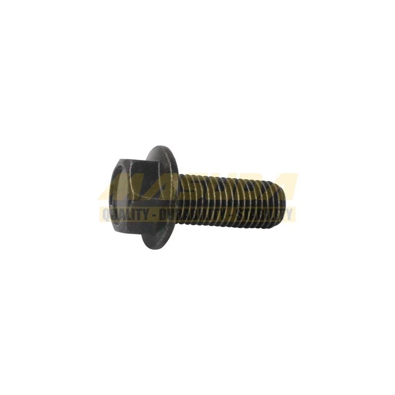 TORNILLO 10*25
