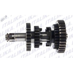 CONJUNTO SECUNDARIO TRANSMISION 125FL