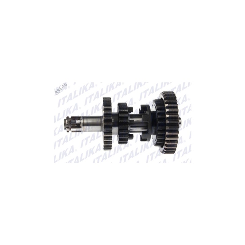CONJUNTO SECUNDARIO TRANSMISION 125FL