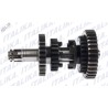 CONJUNTO SECUNDARIO TRANSMISION 125FL