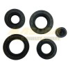 JUEGO RETENES DE MOTOR (5 PZAS) FT125/CG125 6.5*14.5*4 14*28*7 16*28*7 20*34*7 22*35*7