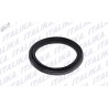 EMPAQUE SENSOR COMBUSTIBLE STRADA110, XTS50