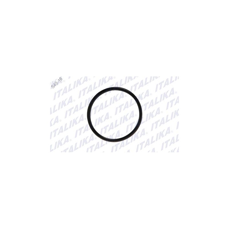 O-RING D19 d1.8 VORT-X 300