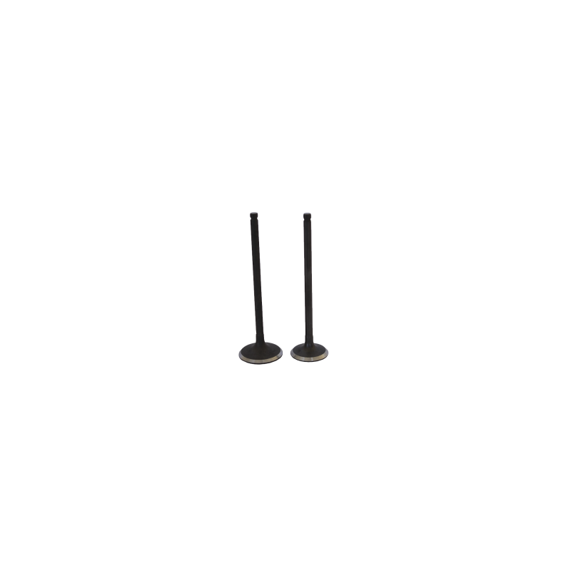 VALVULAS (JGO) P/ITALIKA FT-125 "KAIZEN"