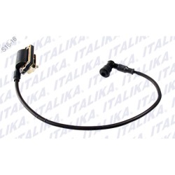 BOBINA IGNICION DT110 DELIVERY, FT115
