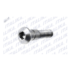 TORNILLO PEDAL DE FRENO 250Z