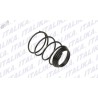RESORTE DE PANTALLA DE PARTICULAS ATV150, CS125, DS125, DS150, VS90, WS150, PS90, GS150, XS125, GTS175, XS150, WS175, GTS175 LED