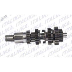 CONJUNTO PRIMARIO TRANSMISION FT150G