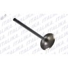 VALVULA ADMISION DM250