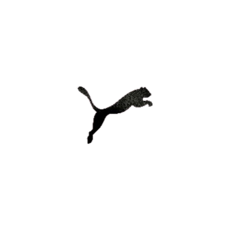CALCOMANIA PUMA LOGO E IMAGEN